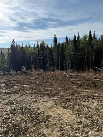 Lot 56.1 Faraway Road Dalton NH 03598