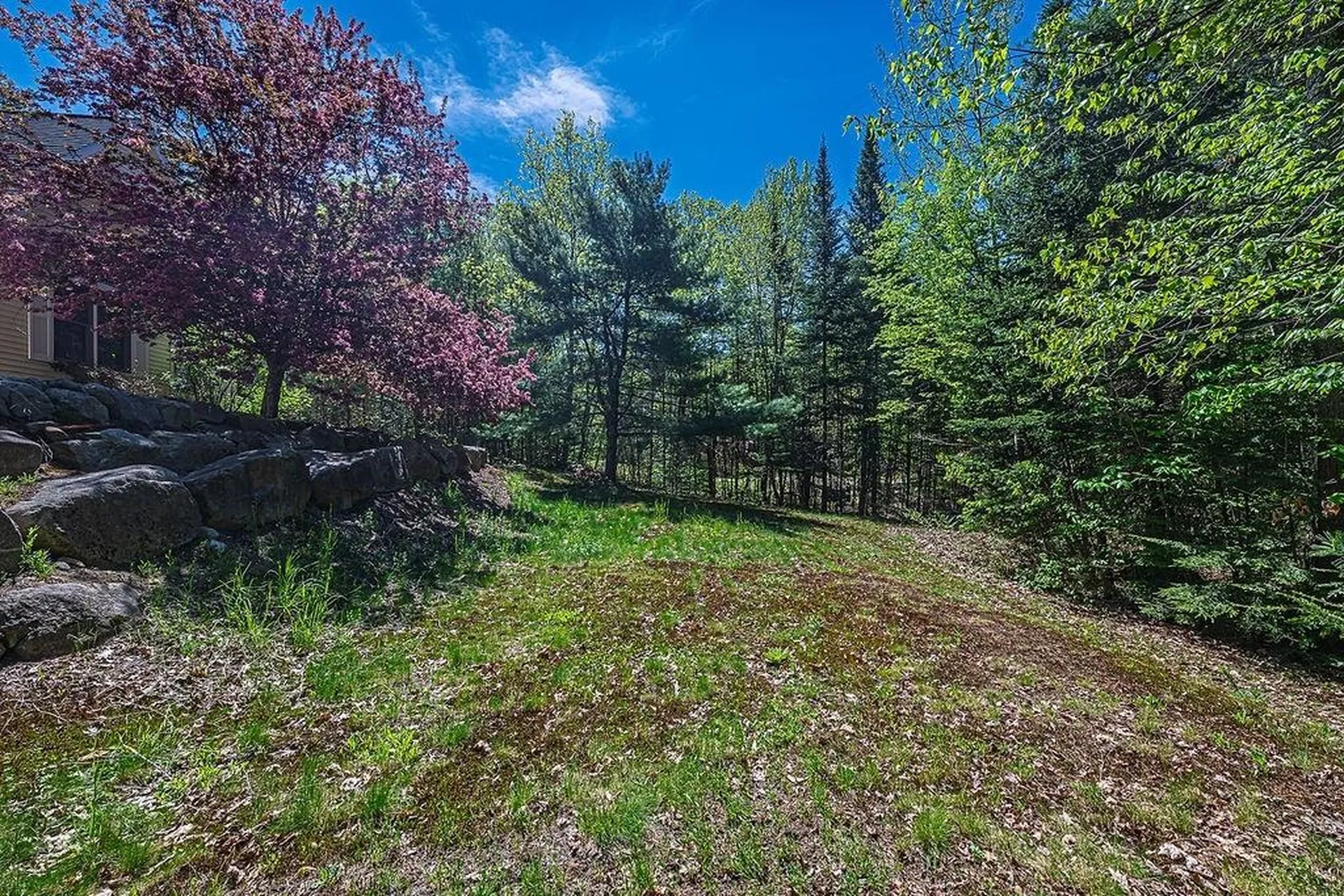 63 Olympia Street Moultonborough NH 03254