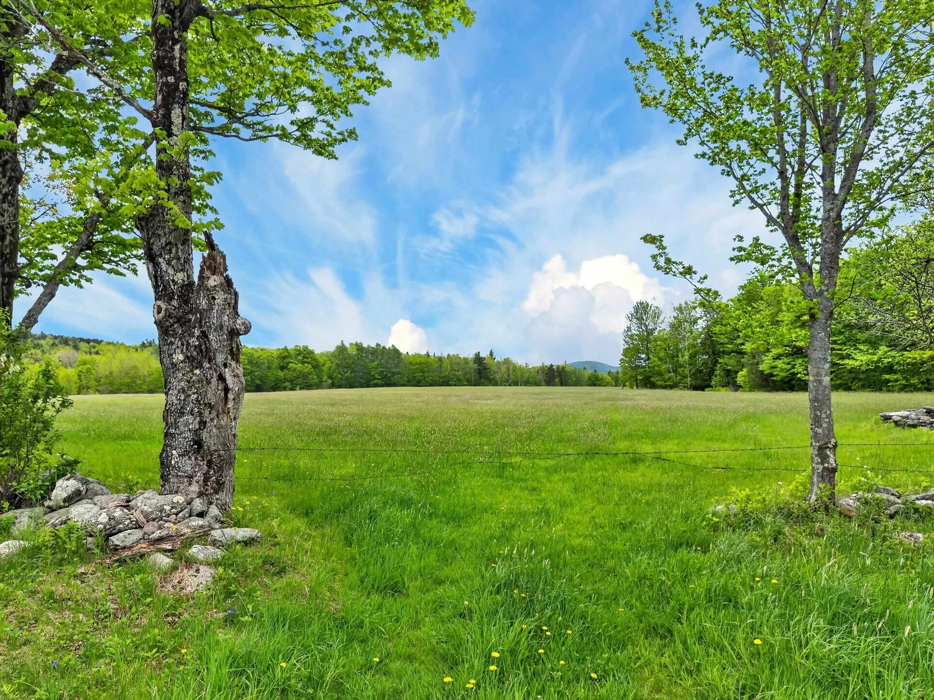 Lot 0 Saddada Road Whitingham VT 05361