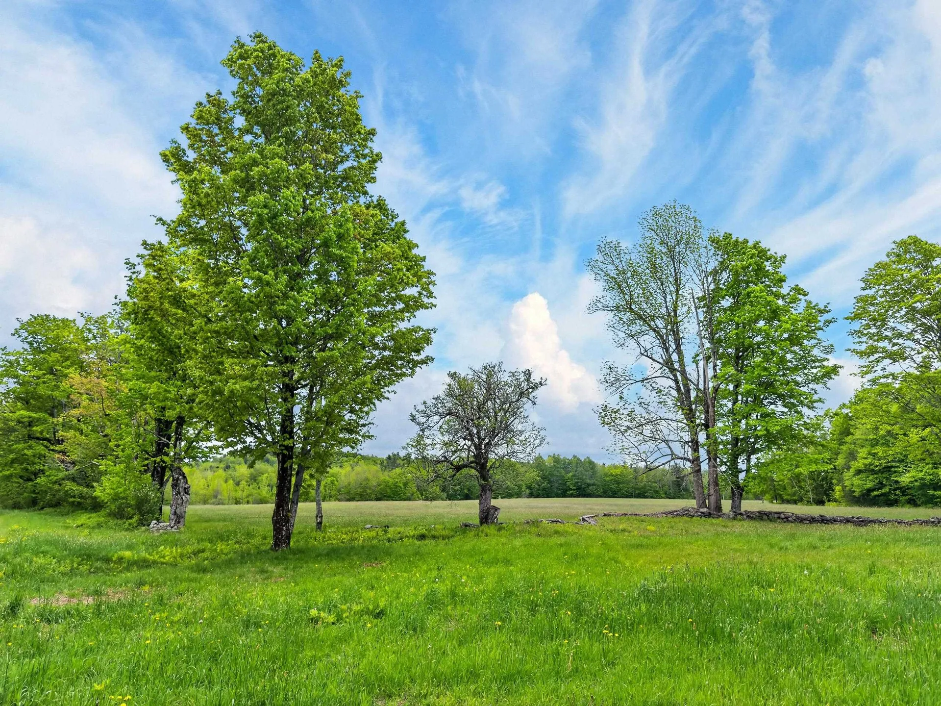 Lot 0 Saddada Road Whitingham VT 05361
