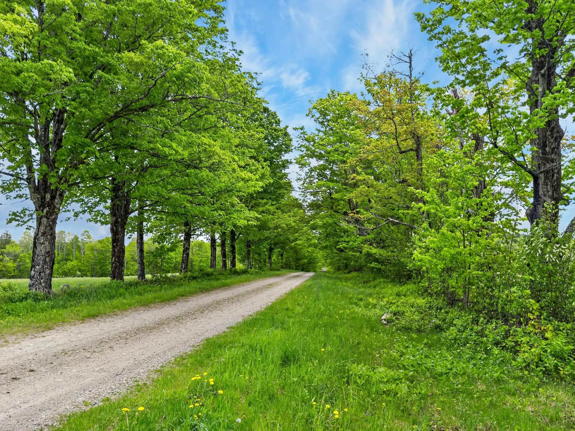 Lot 0 Saddada Road Whitingham VT 05361