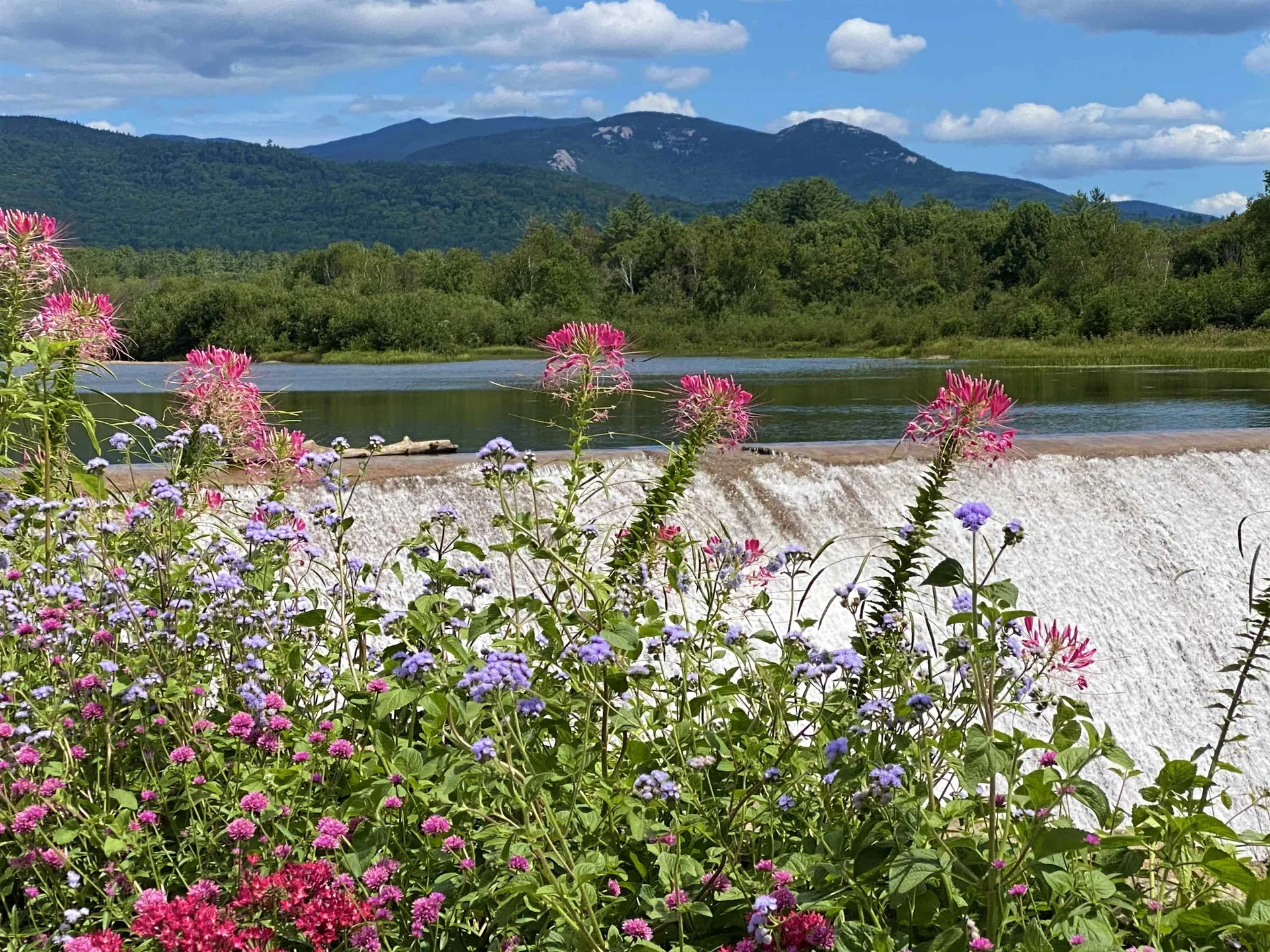 3 Plaisted Road Campton NH 03223