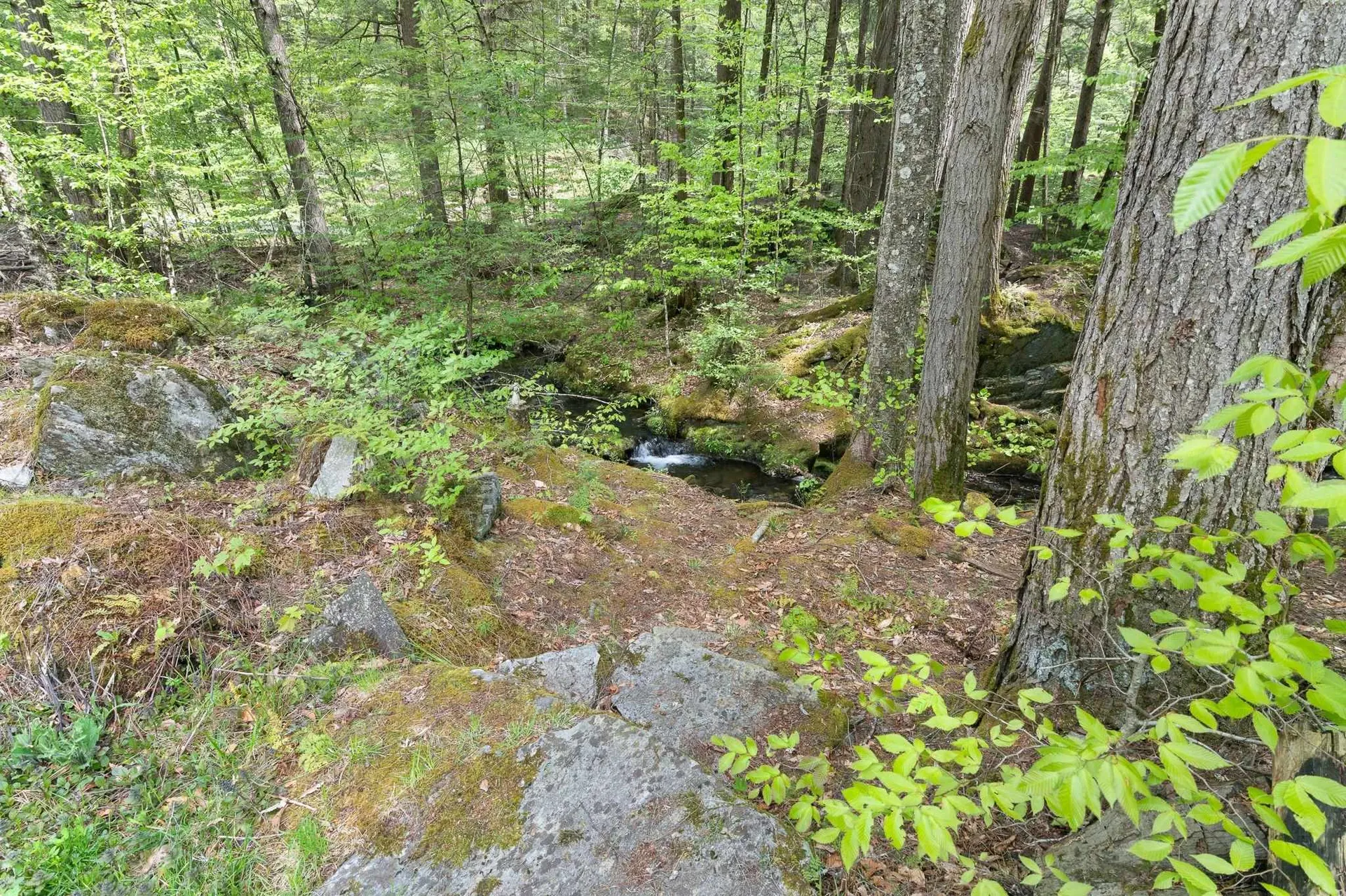 442 Brookline Road Athens VT 05345