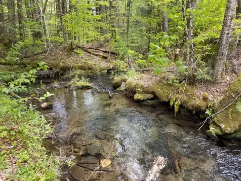 442 Brookline Road Athens VT 05345