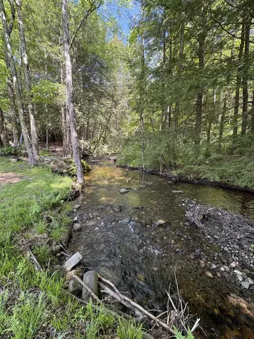687 John Stark Highway Newport NH 03773