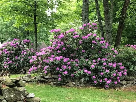 153 Castle Hill Road Windham NH 03087