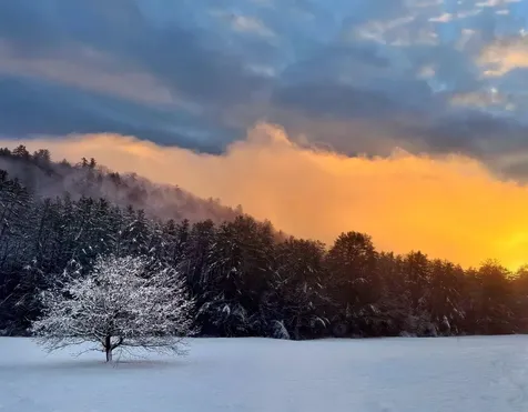 23 Meadow View Lane Hartland VT 05048