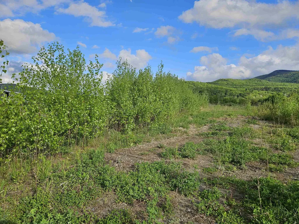 Tbd Lot #3 Miller's Meadow Road Cambridge VT 05444