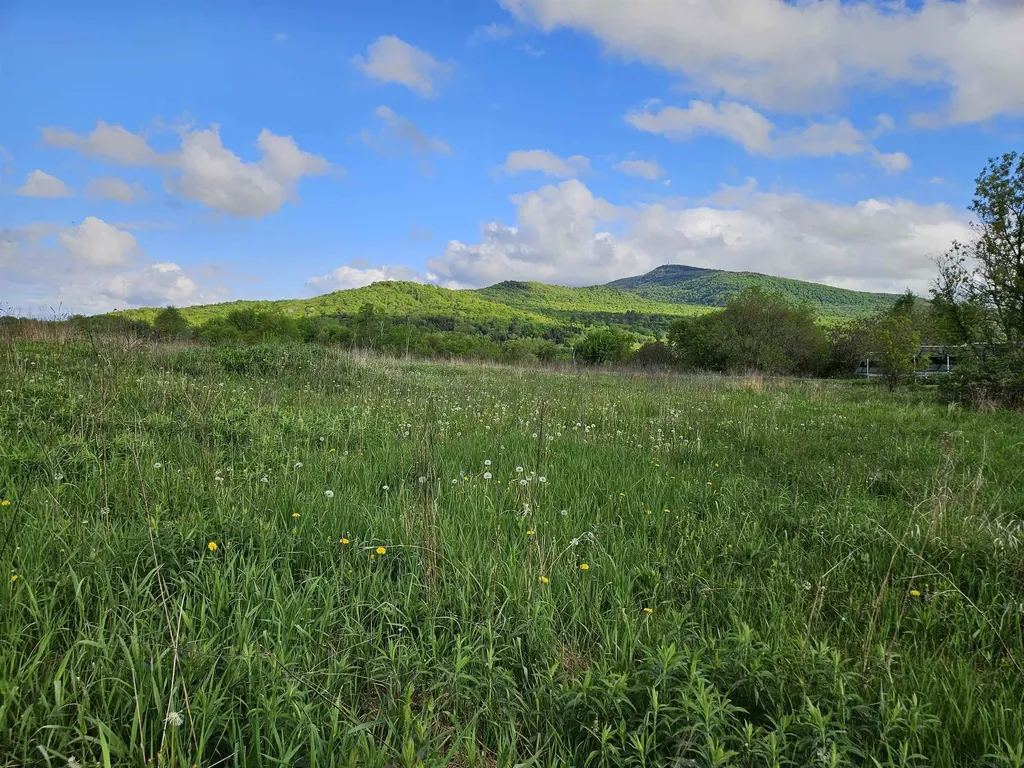 Tbd Lot #3 Miller's Meadow Road Cambridge VT 05444