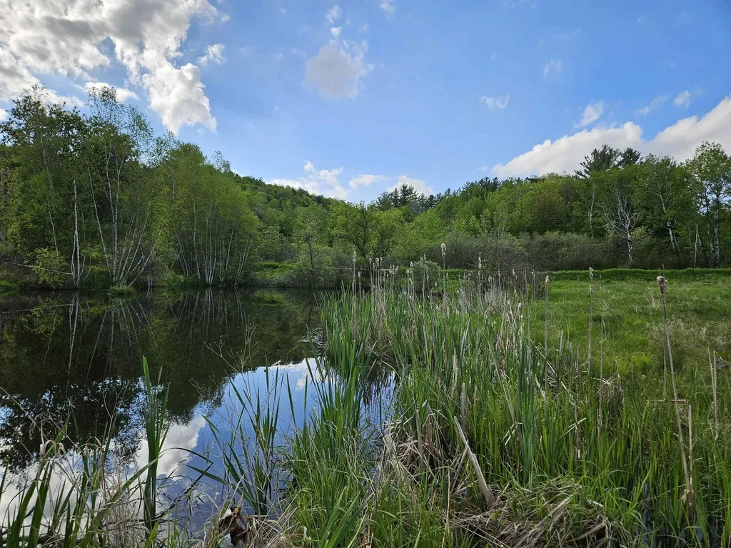 Tbd Lot #3 Miller's Meadow Road Cambridge VT 05444