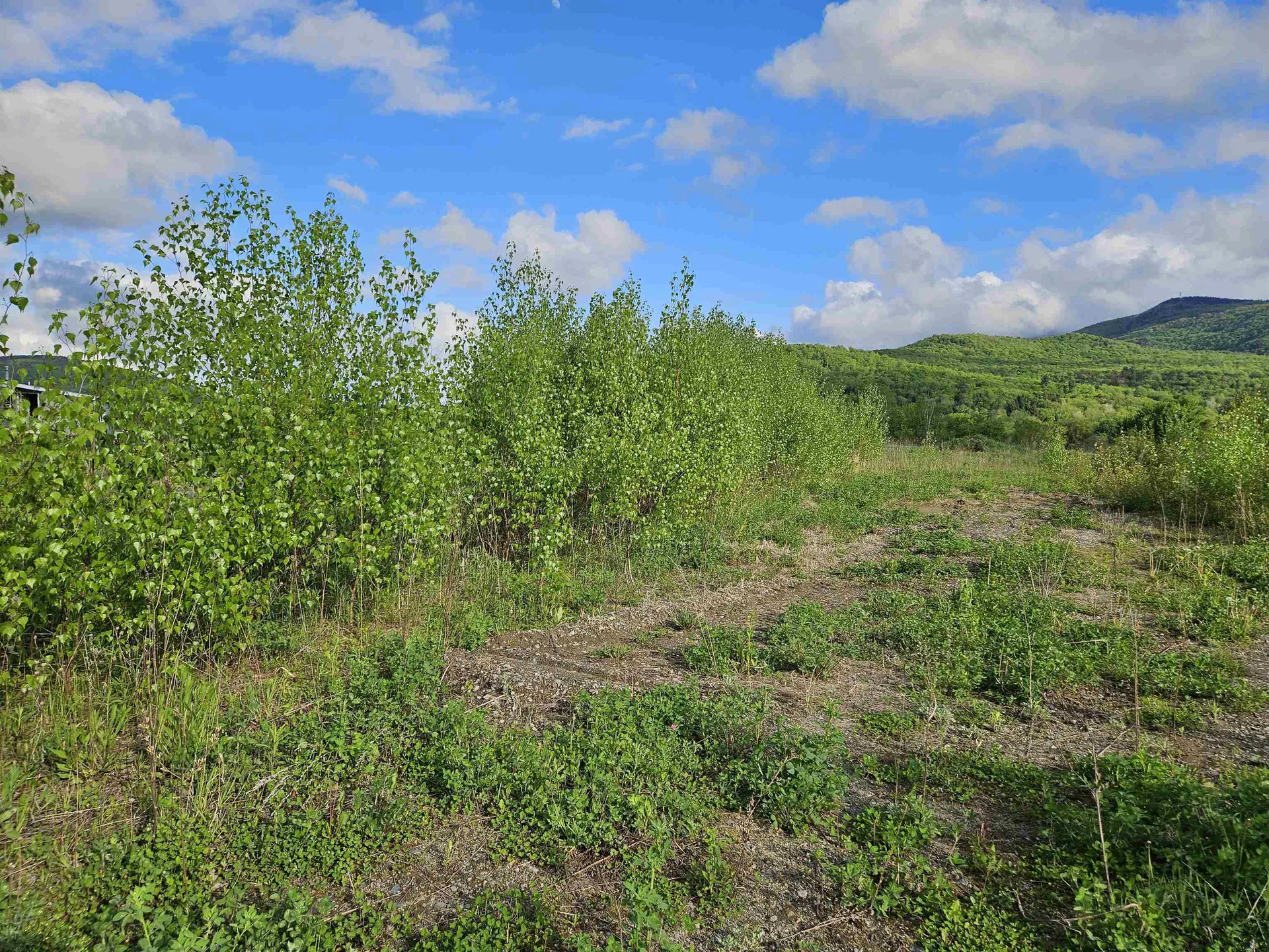 Tbd Lot #3 Miller's Meadow Road Cambridge VT 05444