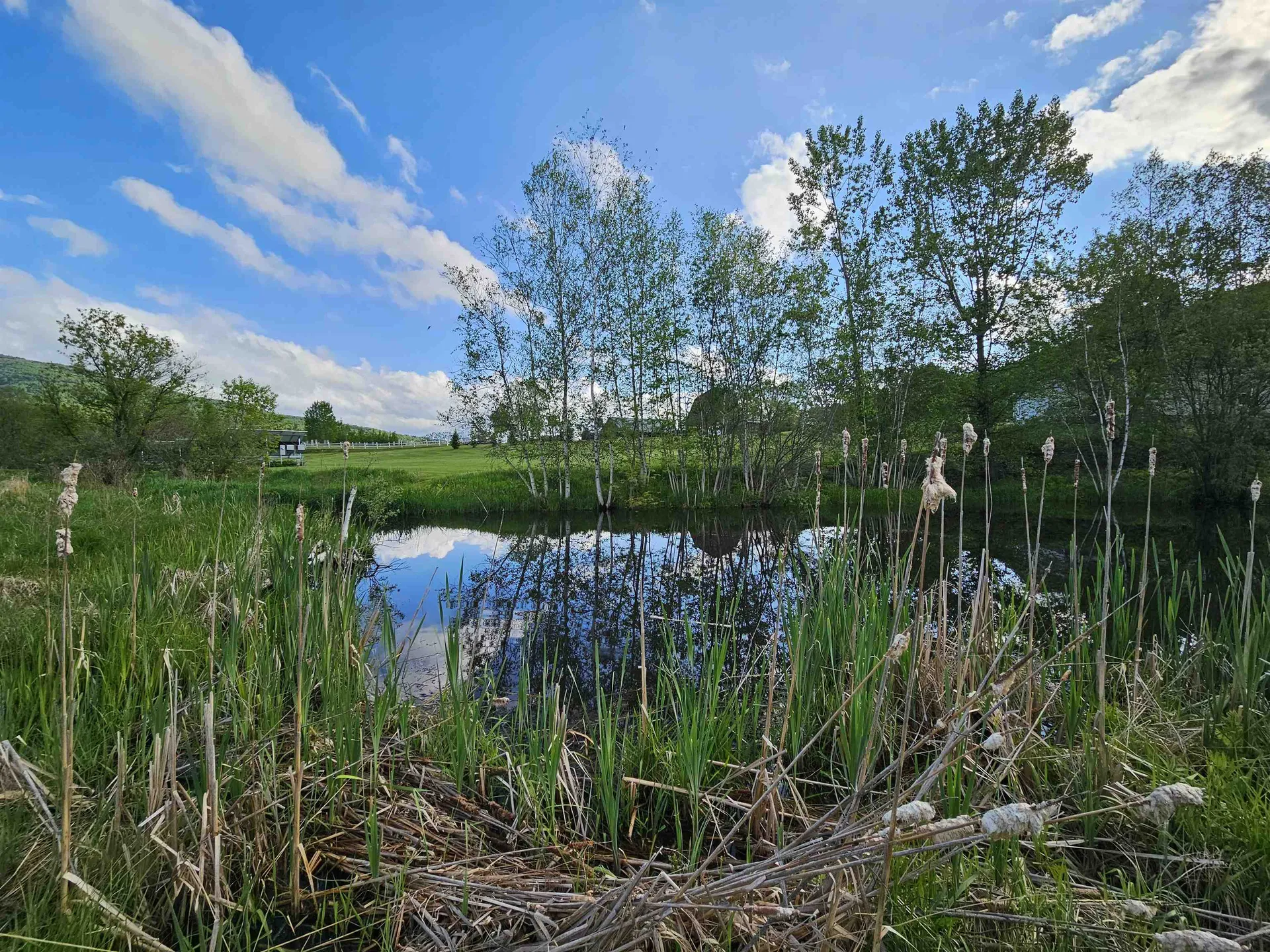 Tbd Lot #3 Miller's Meadow Road Cambridge VT 05444