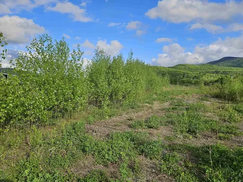 Tbd Lot #3 Miller's Meadow Road Cambridge VT 05444