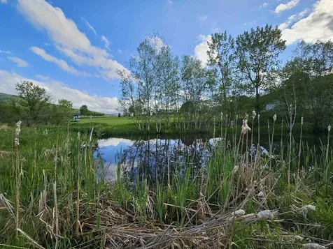 Tbd Lot #3 Miller's Meadow Road Cambridge VT 05444