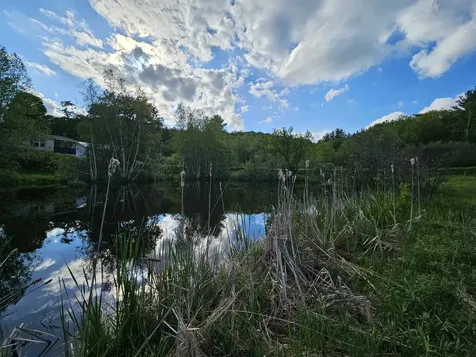 Tbd Lot #3 Miller's Meadow Road Cambridge VT 05444