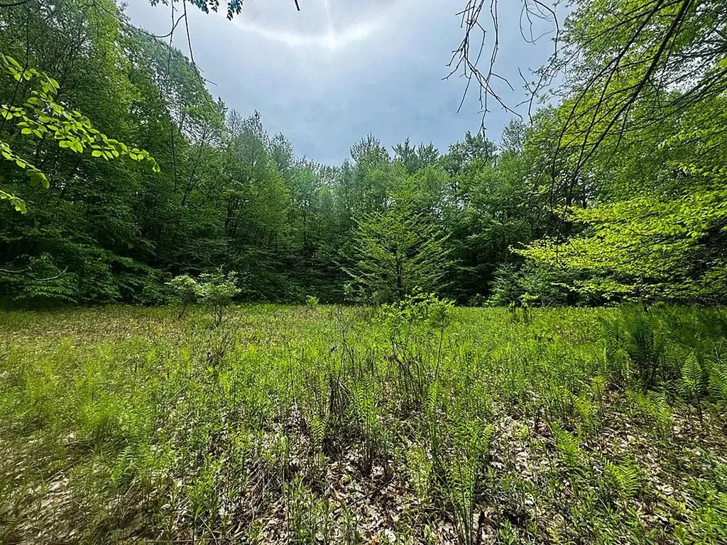 0 Spencer Meadows Mendon VT 05701