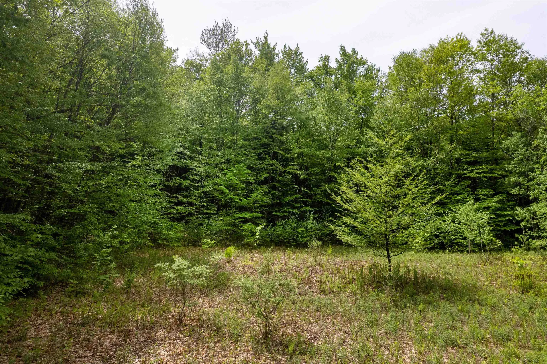 0 Spencer Meadows Mendon VT 05701