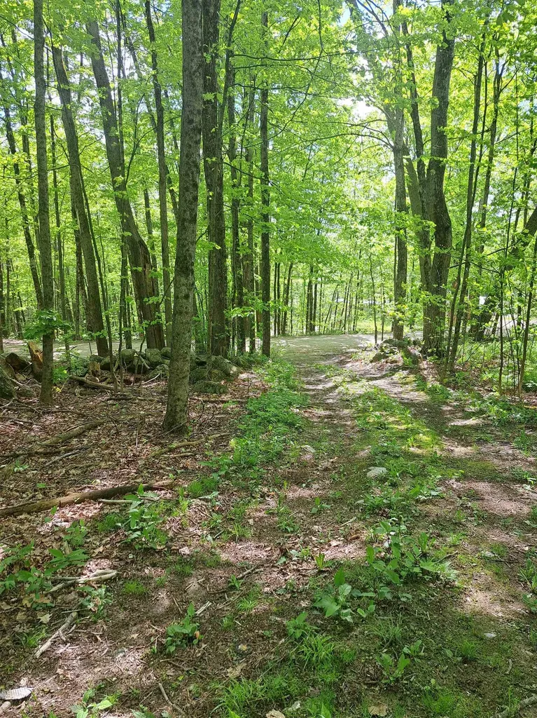 81 Hart Farm Road Deering NH 03244