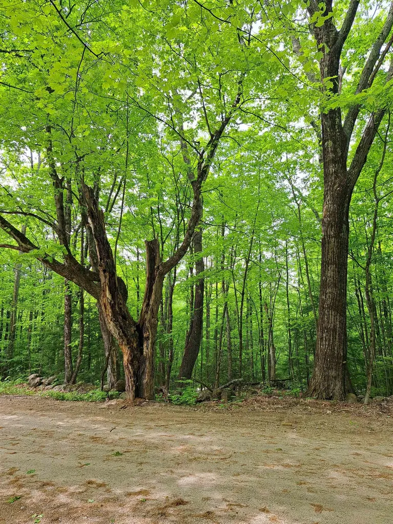 81 Hart Farm Road Deering NH 03244