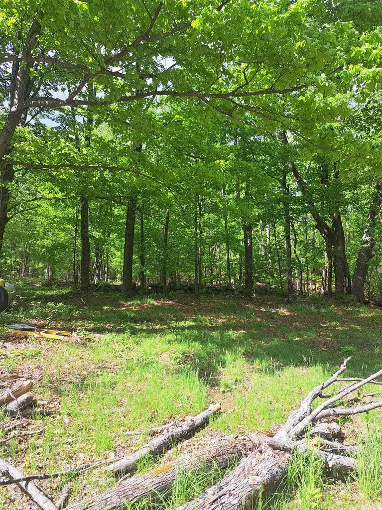 81 Hart Farm Road Deering NH 03244
