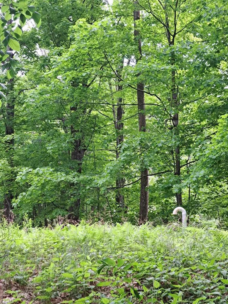 81 Hart Farm Road Deering NH 03244