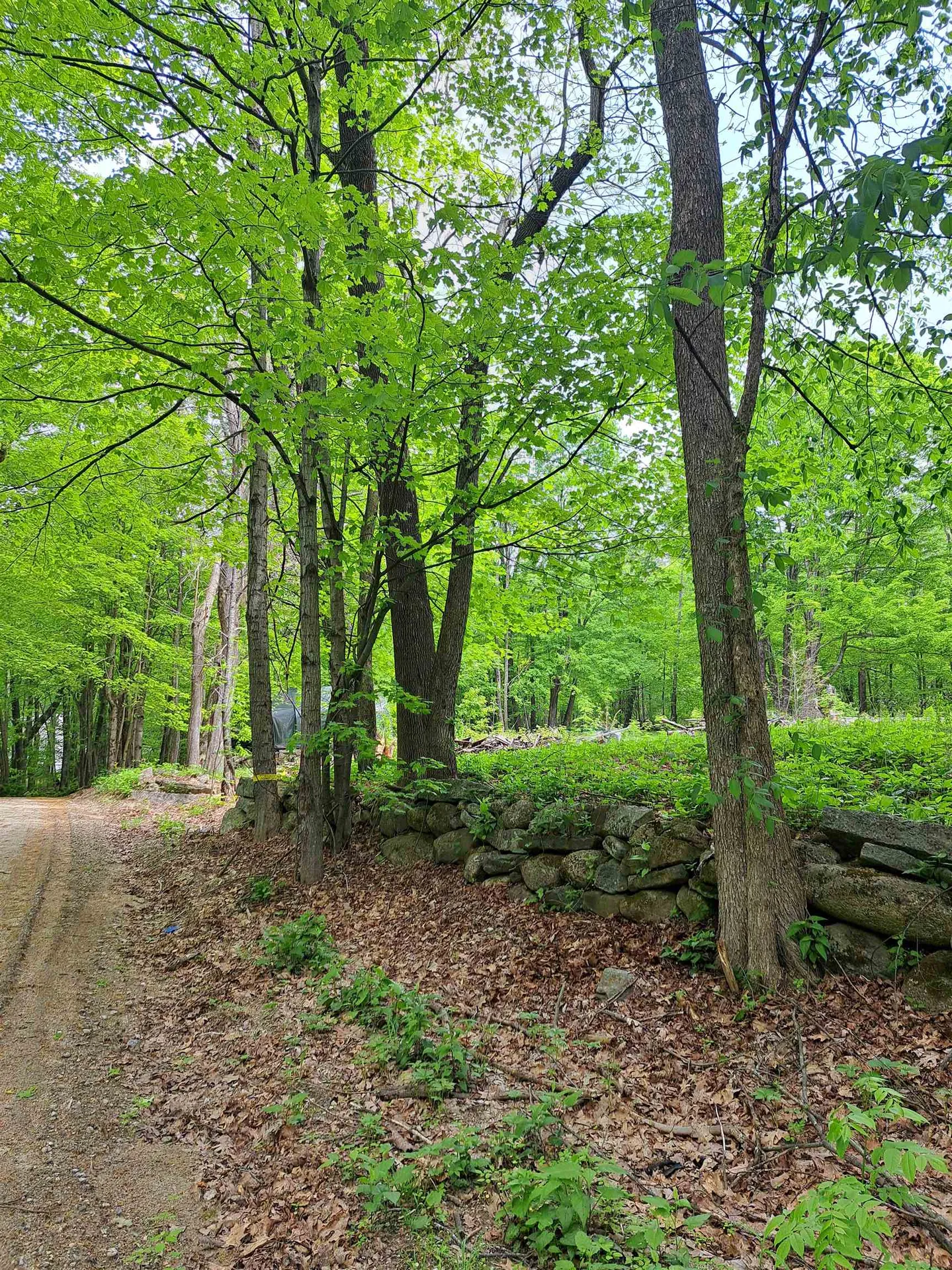 81 Hart Farm Road Deering NH 03244
