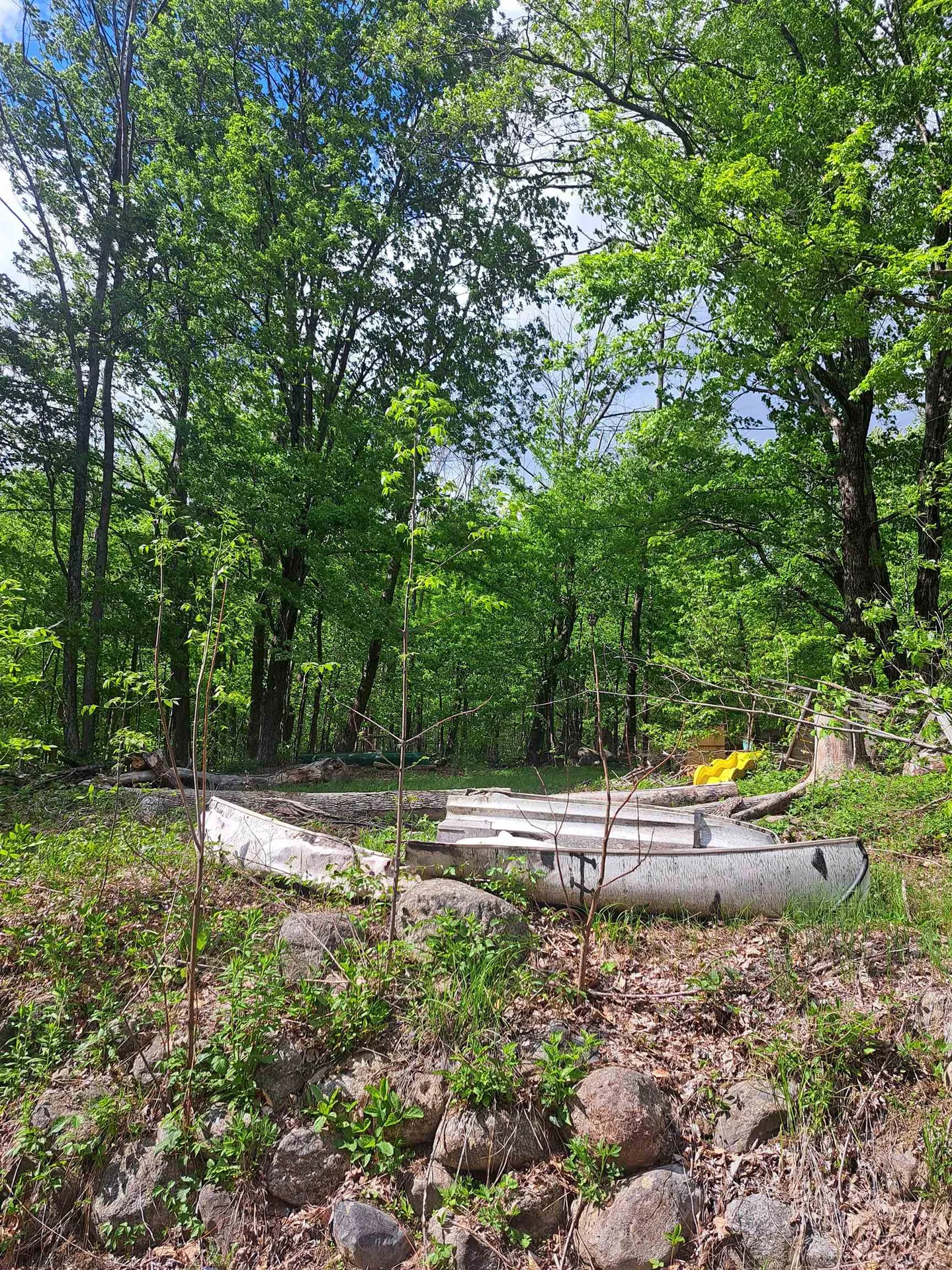 81 Hart Farm Road Deering NH 03244