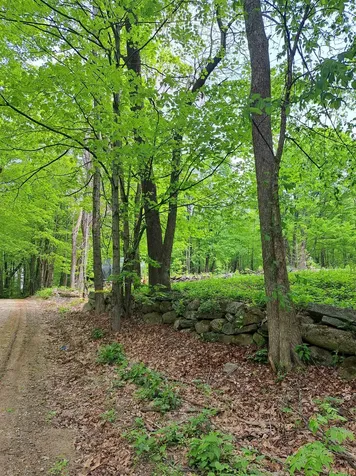 81 Hart Farm Road Deering NH 03244