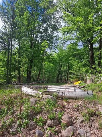81 Hart Farm Road Deering NH 03244