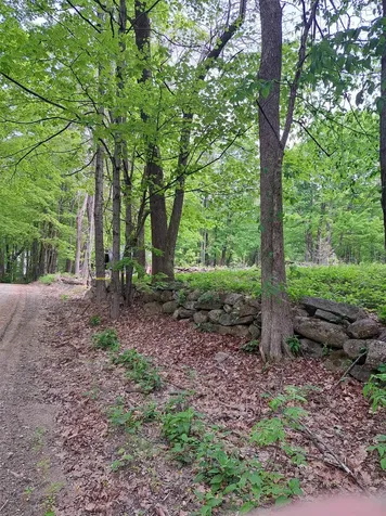 81 Hart Farm Road Deering NH 03244