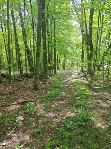 81 Hart Farm Road Deering NH 03244