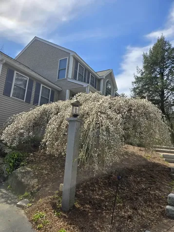 136 Annand Drive Milford NH 03055