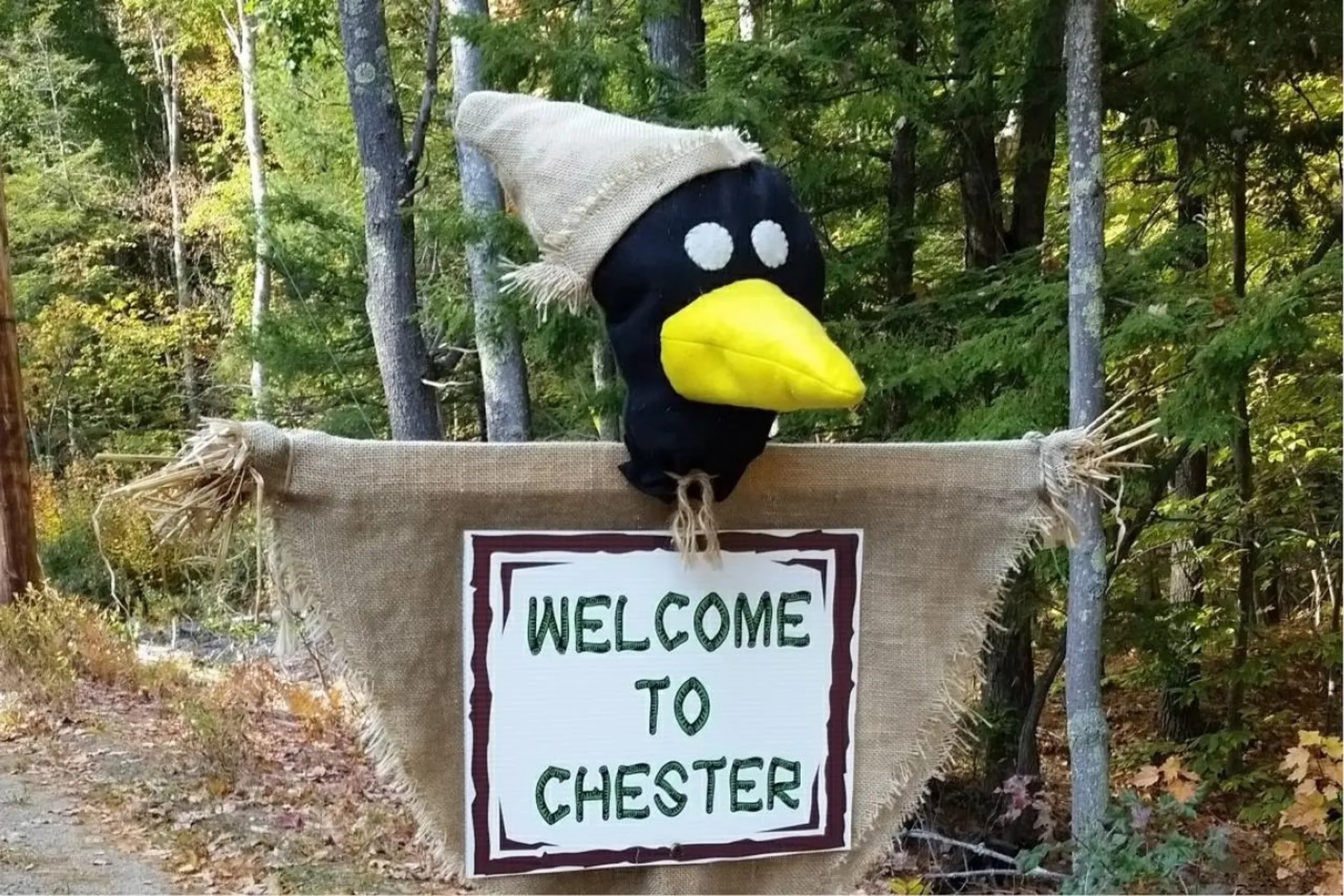 197A Chester Street Chester NH 03036