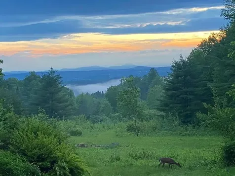 844 John Fowler Road Marshfield VT 05658