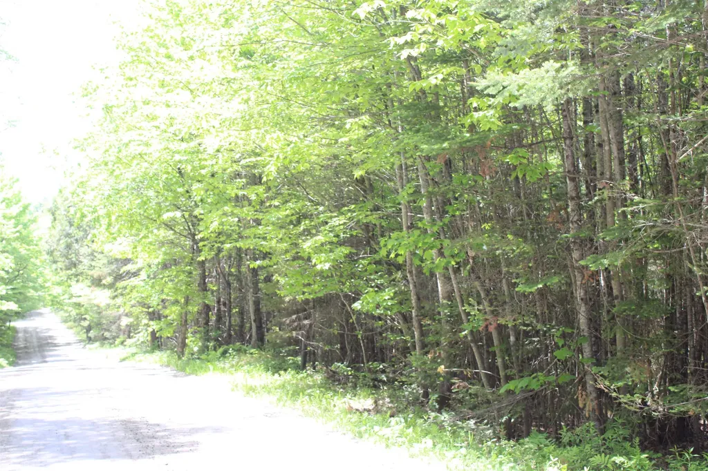 Leonard Hill Concord VT 05824