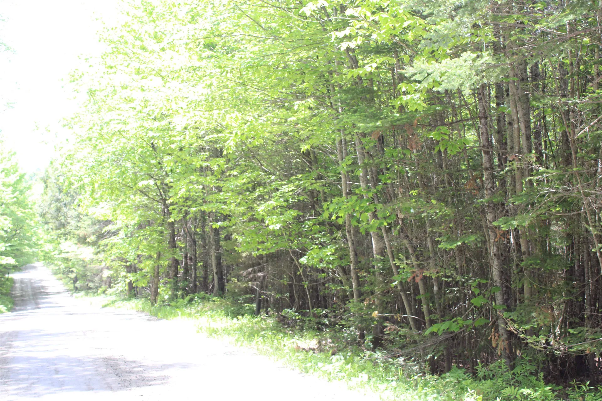 Leonard Hill Concord VT 05824