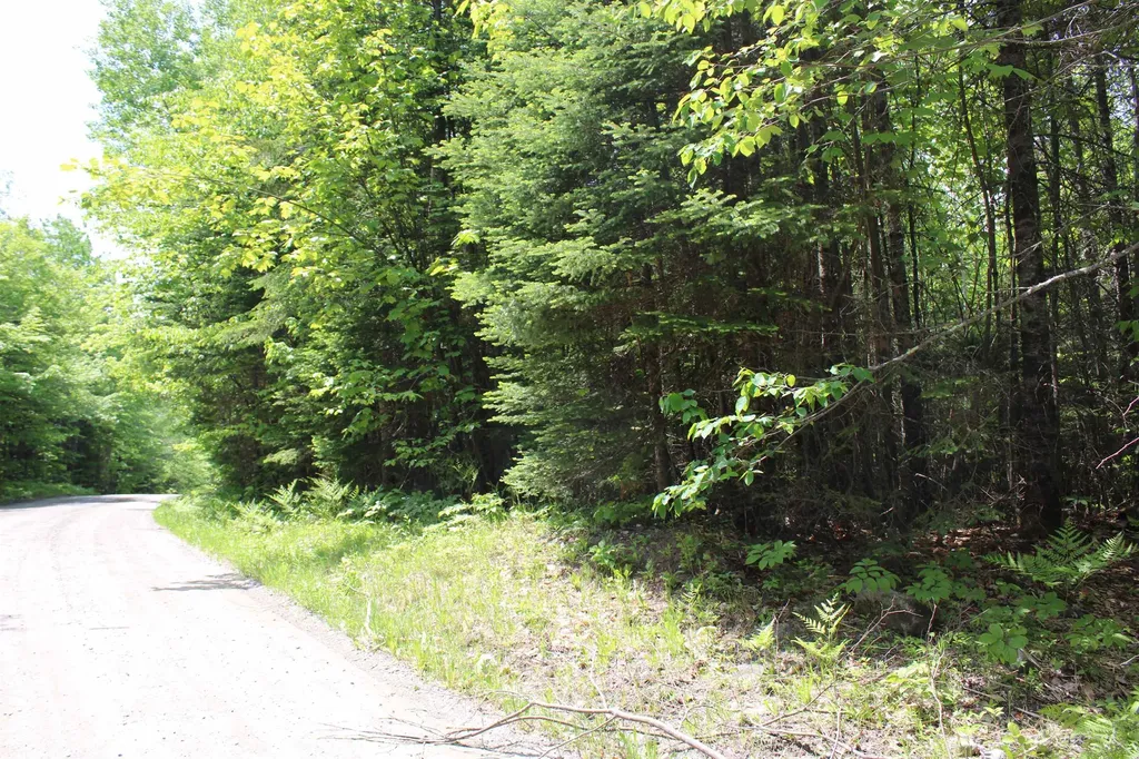 None Leonard Hill Concord VT 05824