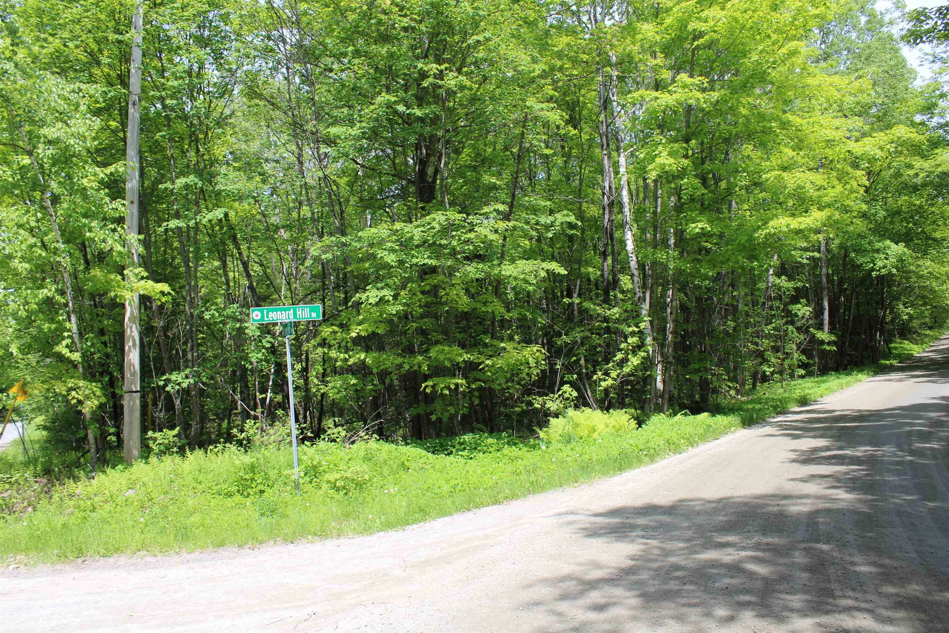 None Leonard Hill Concord VT 05824