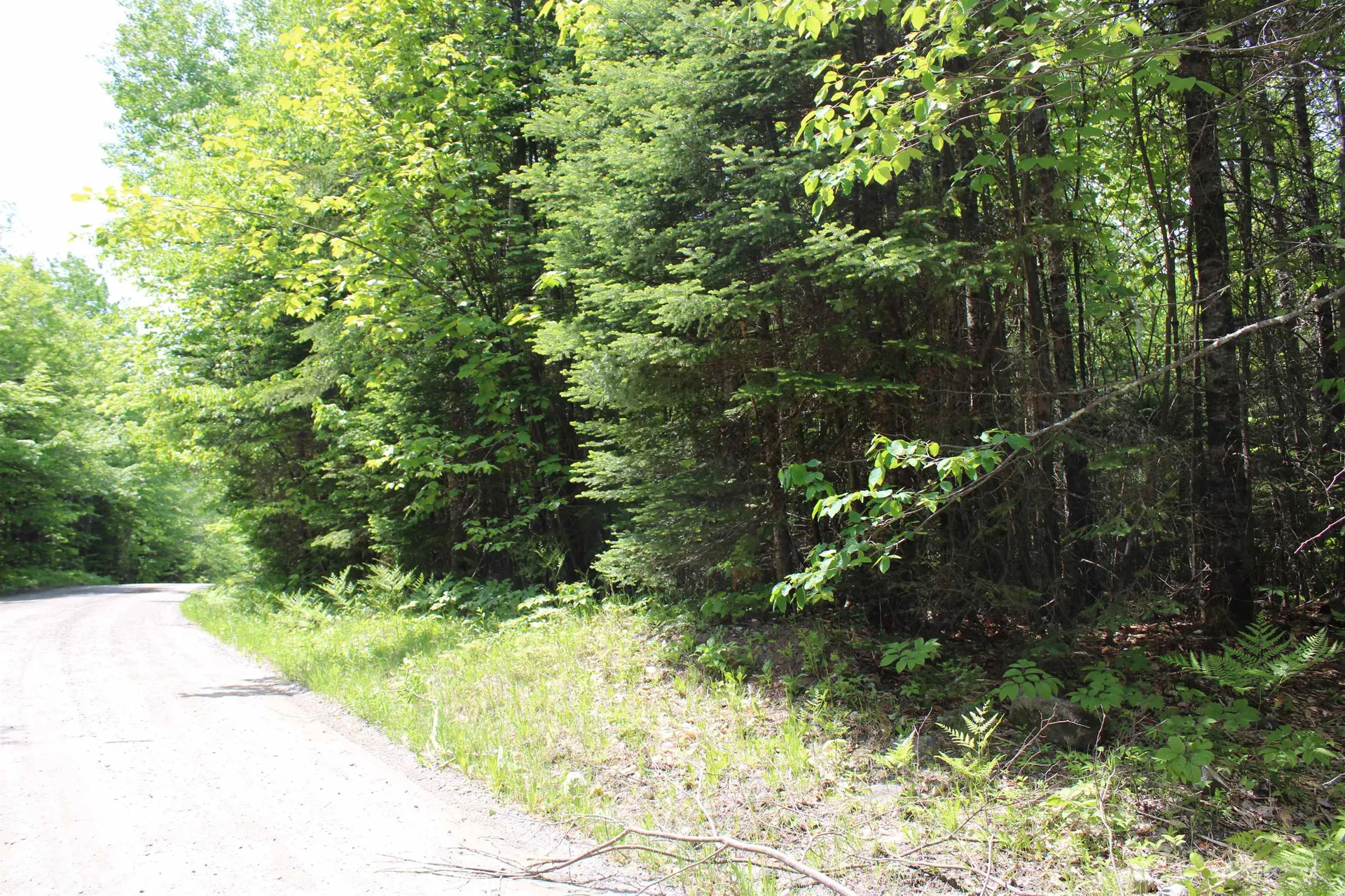 None Leonard Hill Concord VT 05824