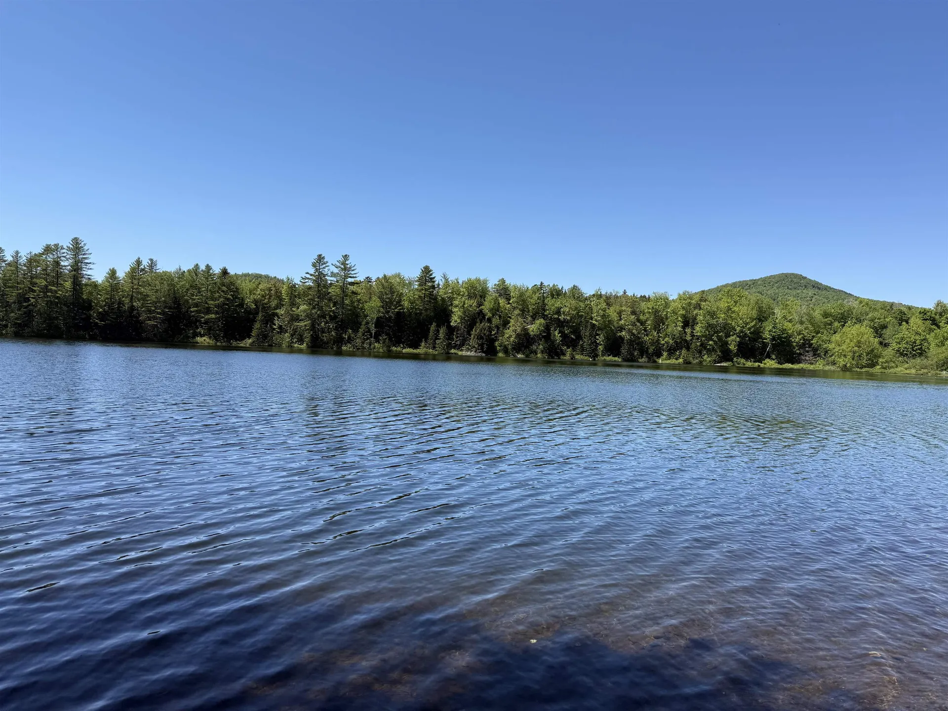 801 Backshore Drive Eden VT 05653