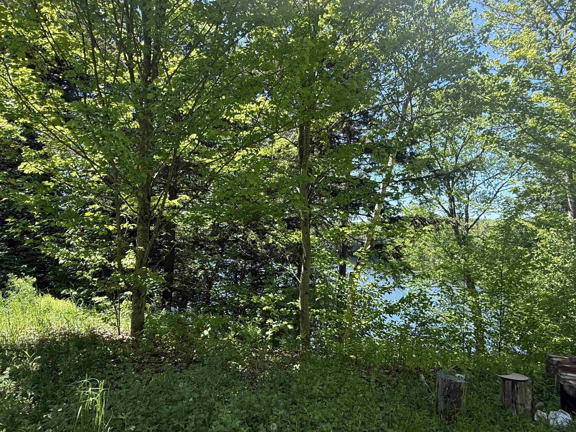801 Backshore Drive Eden VT 05653