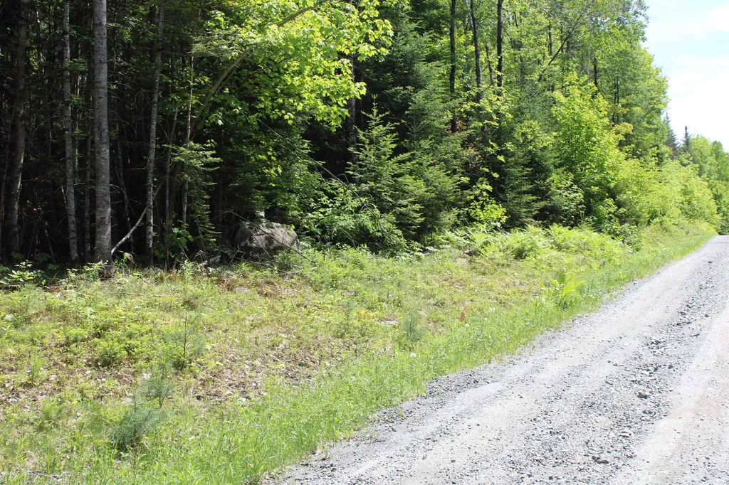 None Long Hill Concord VT 05824