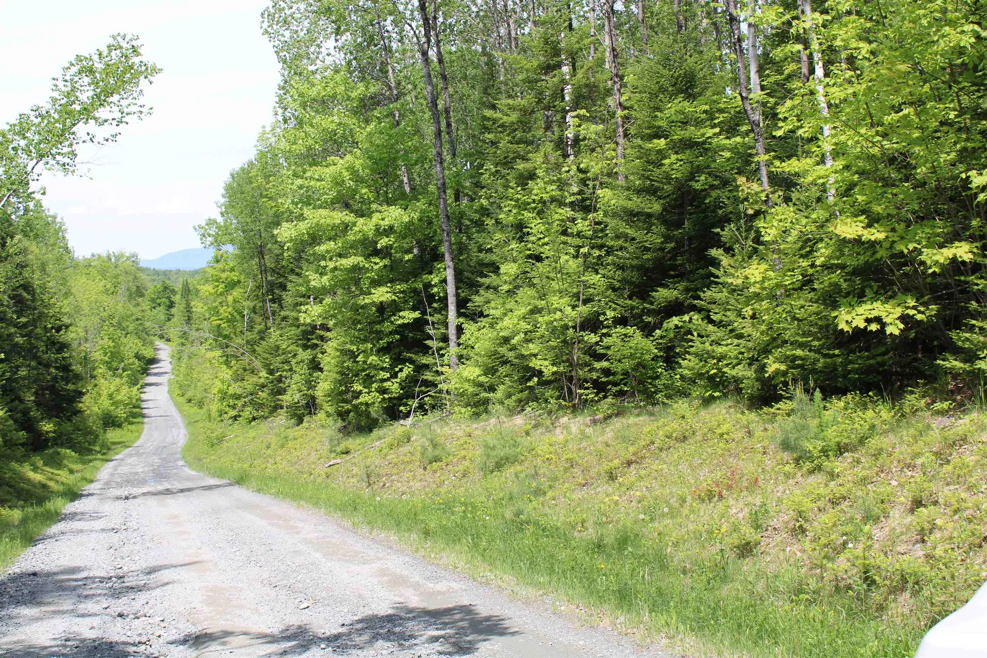 None Long Hill Concord VT 05824