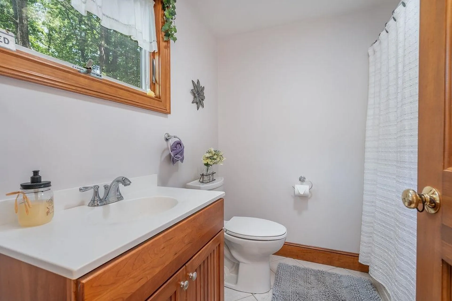 31 Lake View Drive Strafford NH 03884