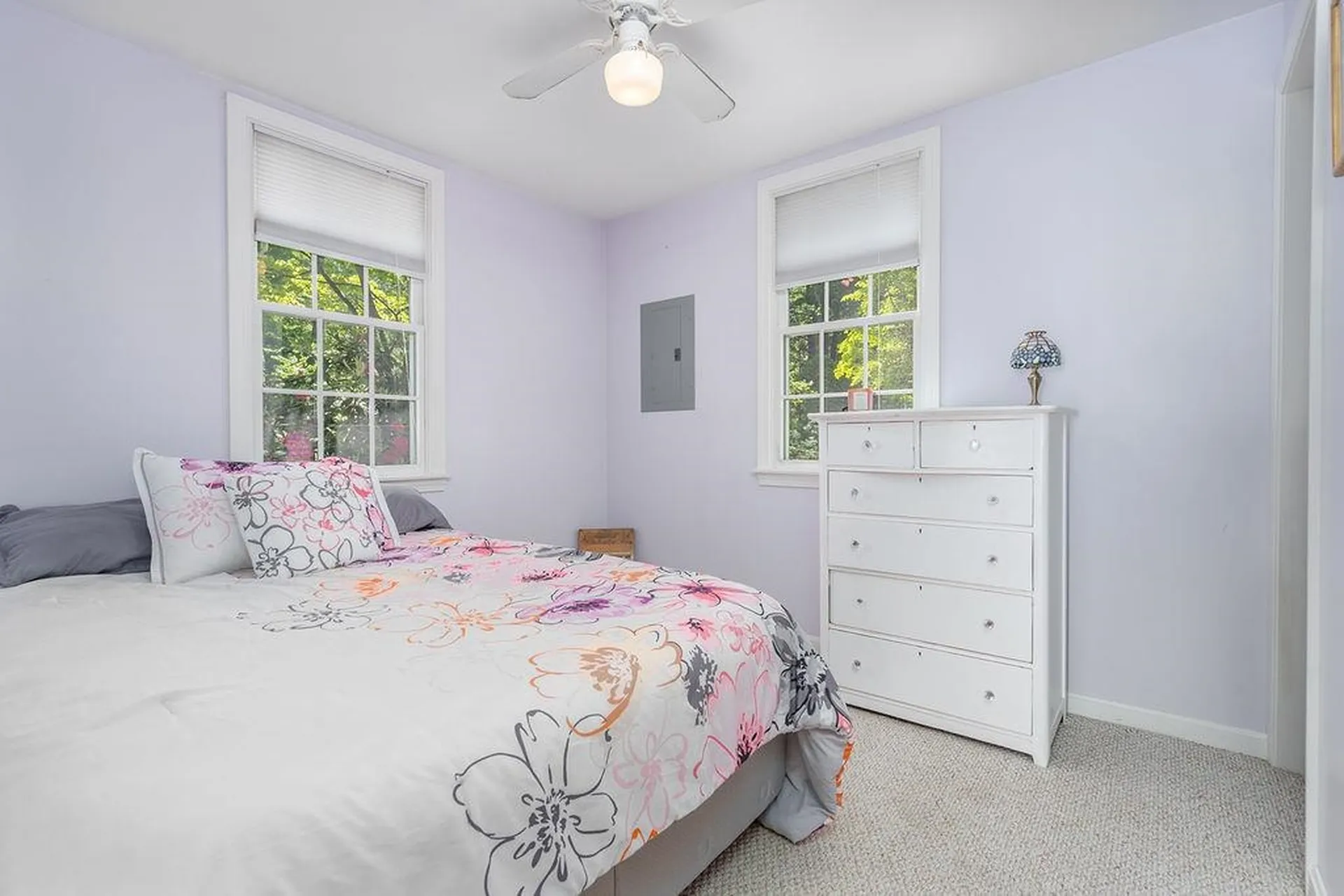 31 Lake View Drive Strafford NH 03884