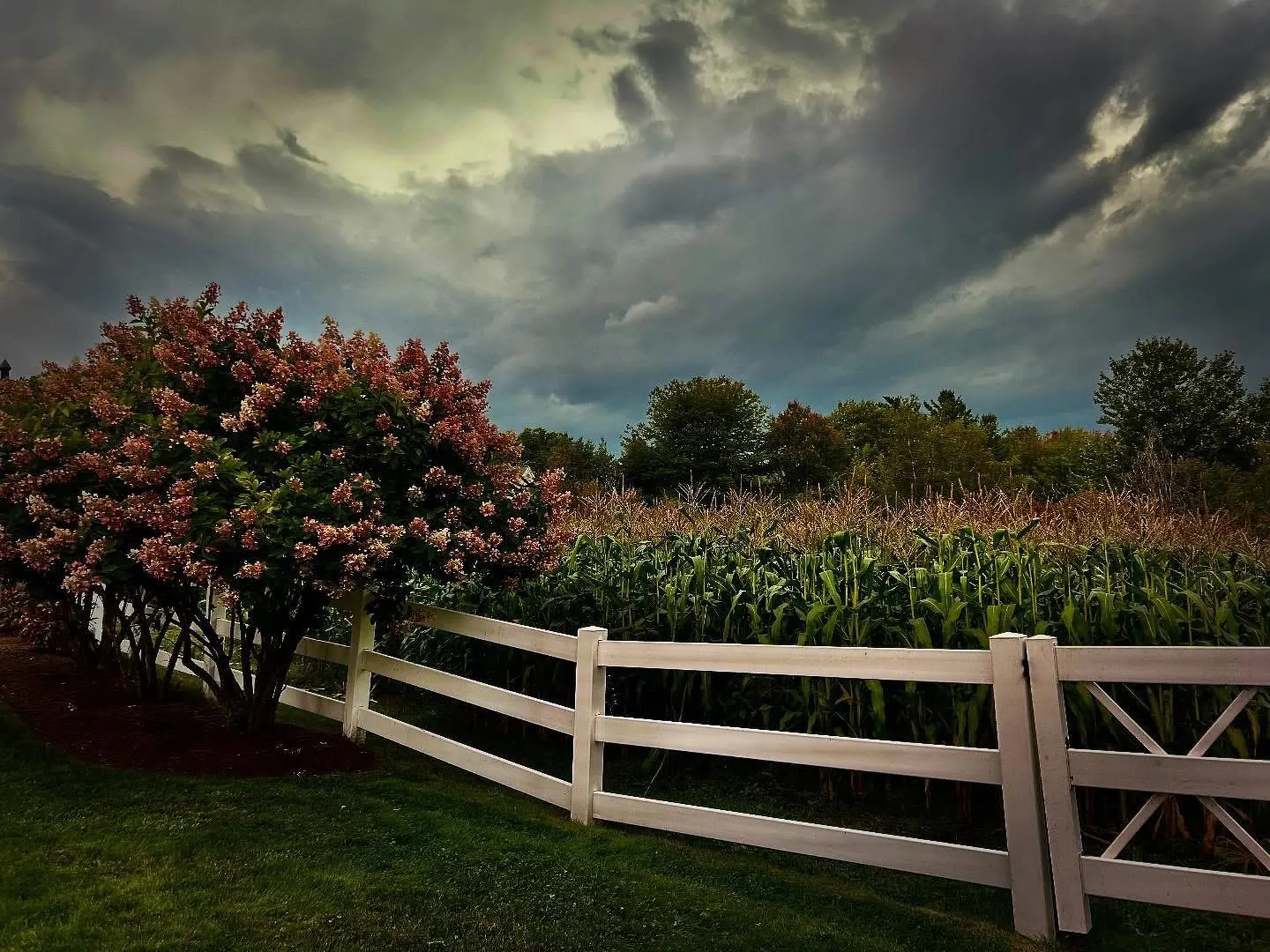 143 Hampton Meadows Hampton NH 03842-1820