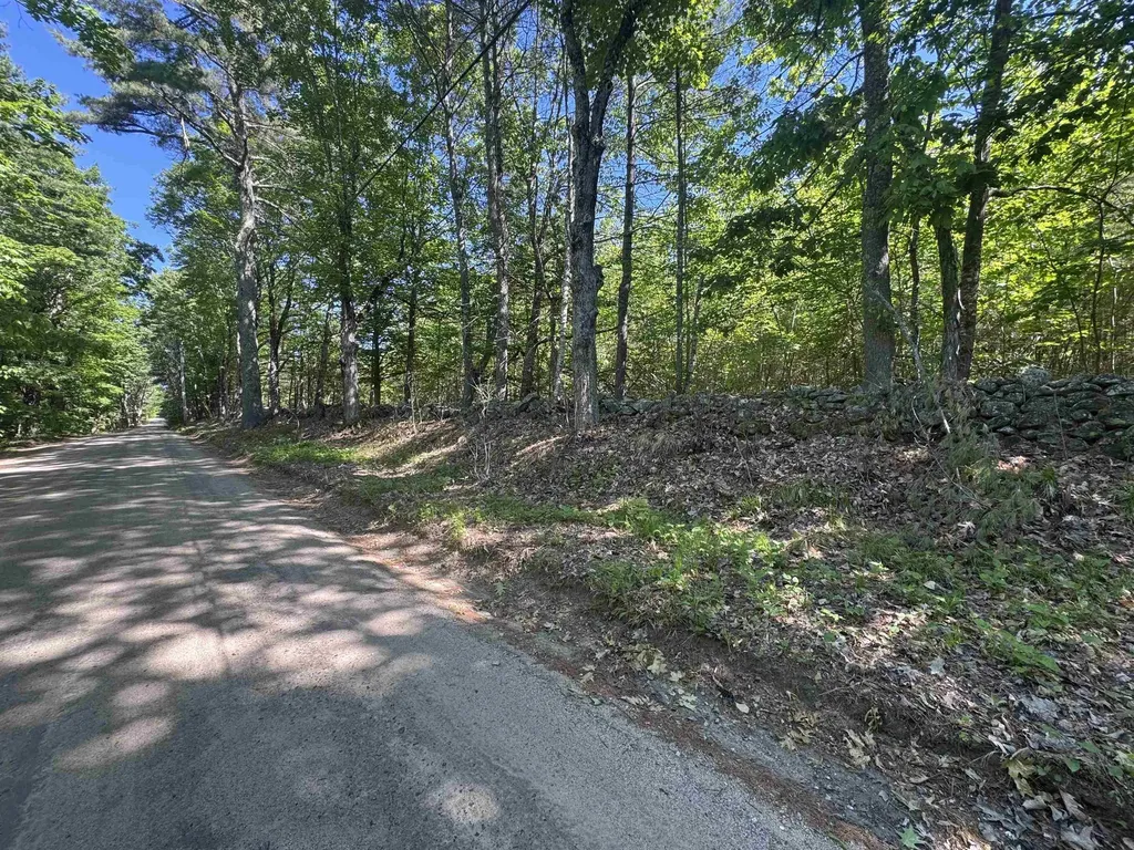 Lot 20.3(tm4) John Hodgdon Road Ossipee NH 03864