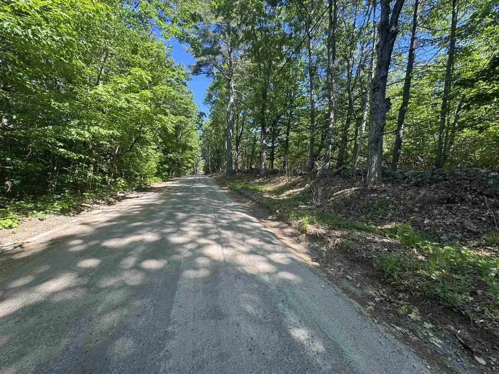 Lot 20.3(tm4) John Hodgdon Road Ossipee NH 03864