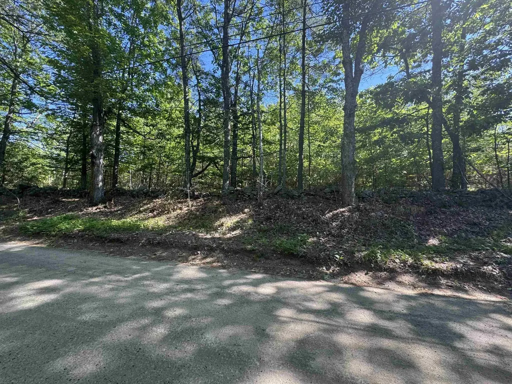 Lot 20.3(tm4) John Hodgdon Road Ossipee NH 03864