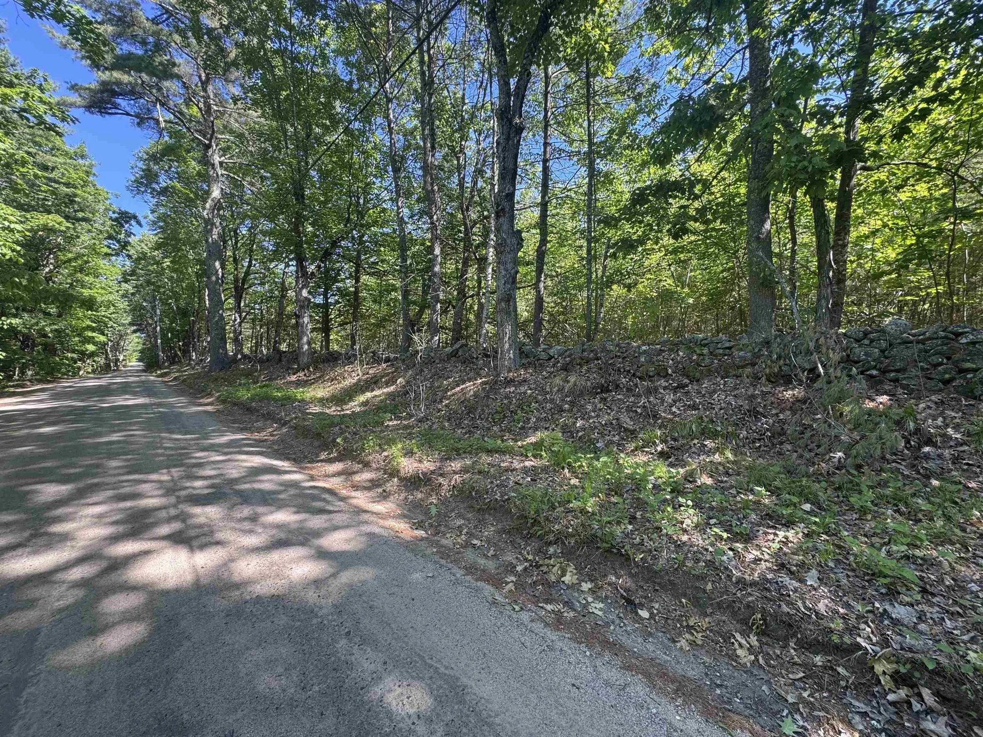 Lot 20.3(tm4) John Hodgdon Road Ossipee NH 03864
